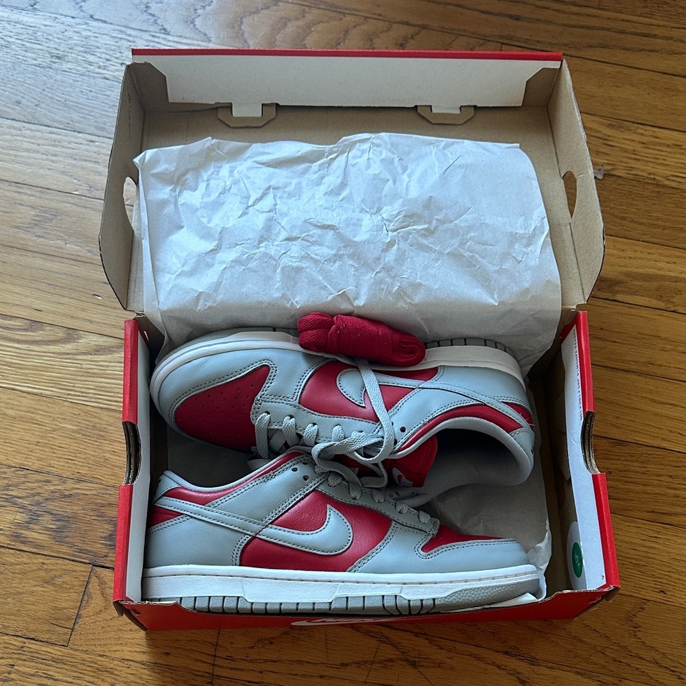 Nike Dunk Low Sneakers in Grey & Red